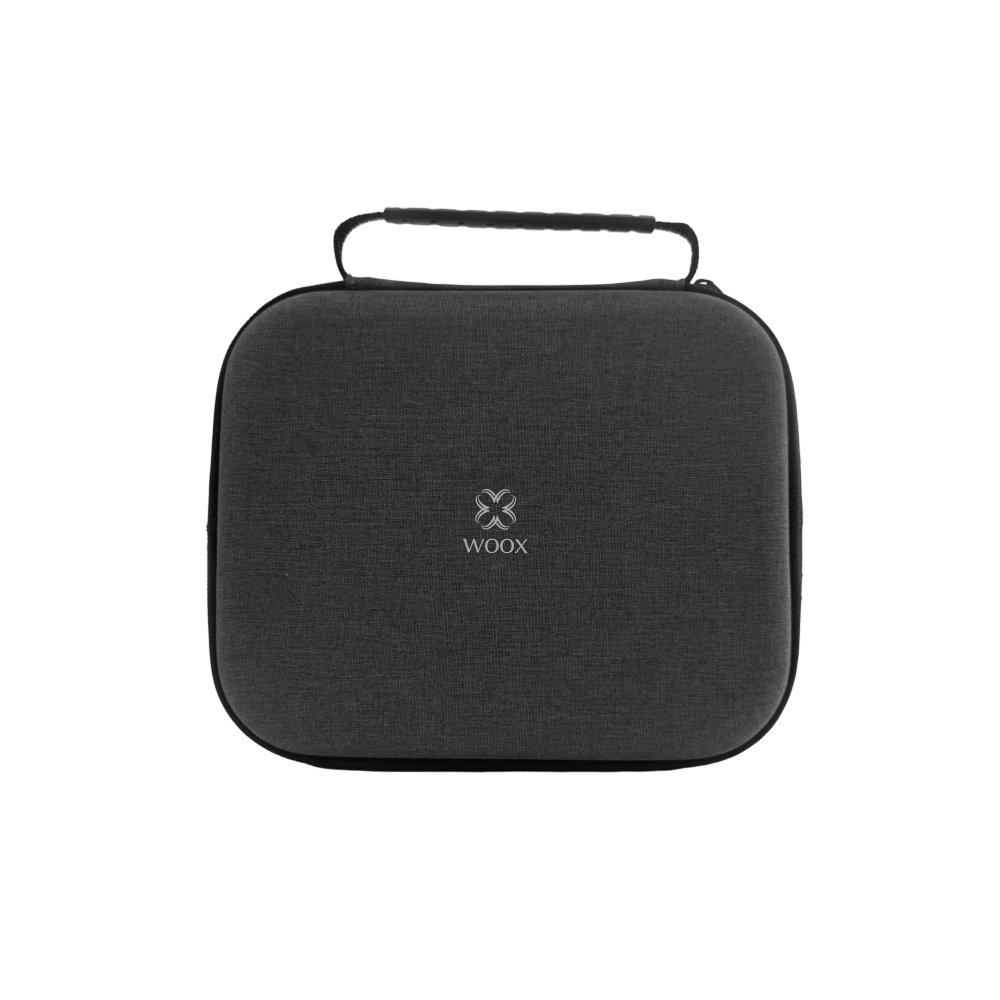 Caja de almacenamiento MX0310, 23 × 19 × 8,5 cm, con tres divisores — Gris