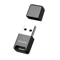 Receptor Bluetooth MX0262 USB - Negro